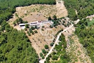 Buca Kaynaklar 1,200 m2 İmar Barışlı Satılık 10 Dönüm Tarla - 4 - 349342
