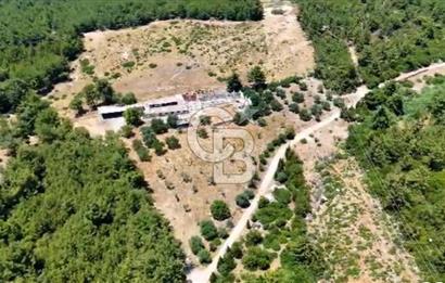 Buca Kaynaklar 1,200 m2 İmar Barışlı Satılık 10 Dönüm Tarla