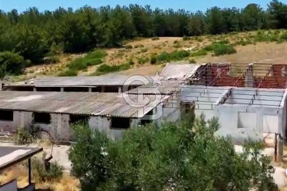 Buca Kaynaklar 1,200 m2 İmar Barışlı Satılık 10 Dönüm Tarla