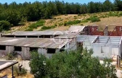Buca Kaynaklar 1,200 m2 İmar Barışlı Satılık 10 Dönüm Tarla