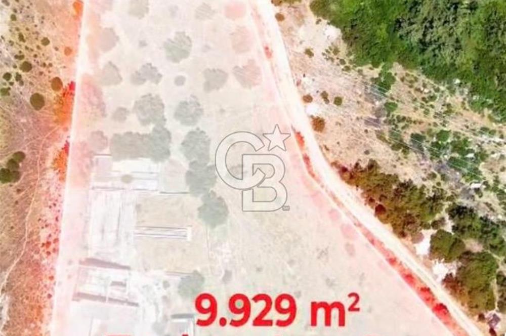 Buca Kaynaklar 1,200 m2 İmar Barışlı Satılık 10 Dönüm Tarla