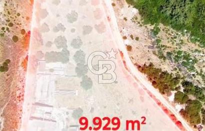 Buca Kaynaklar 1,200 m2 İmar Barışlı Satılık 10 Dönüm Tarla