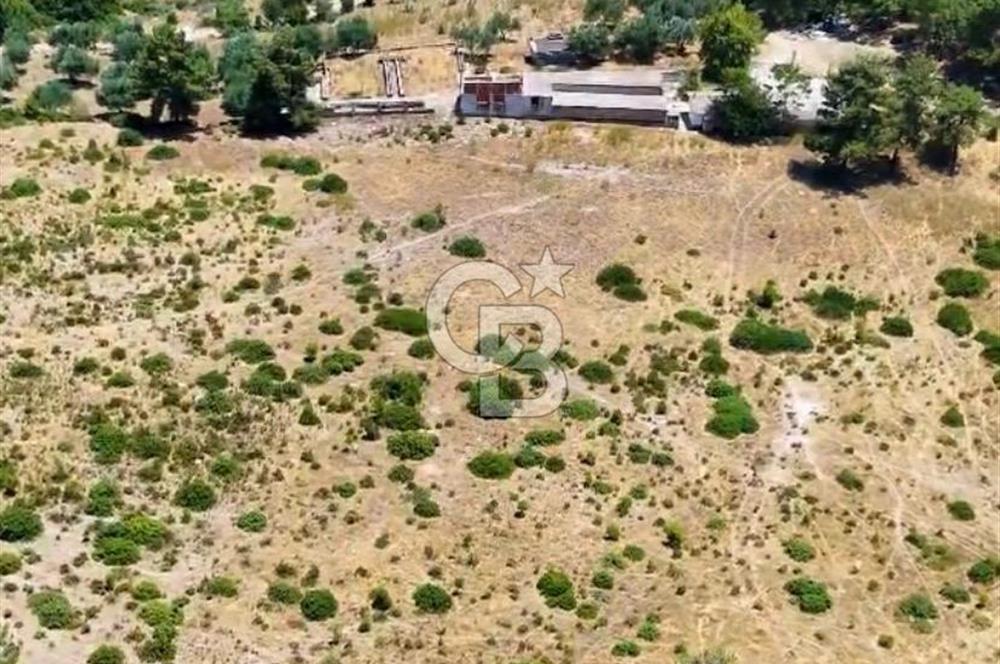 Buca Kaynaklar 1,200 m2 İmar Barışlı Satılık 10 Dönüm Tarla