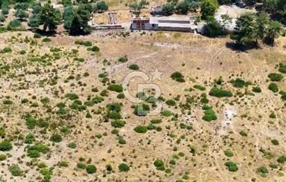 Buca Kaynaklar 1,200 m2 İmar Barışlı Satılık 10 Dönüm Tarla
