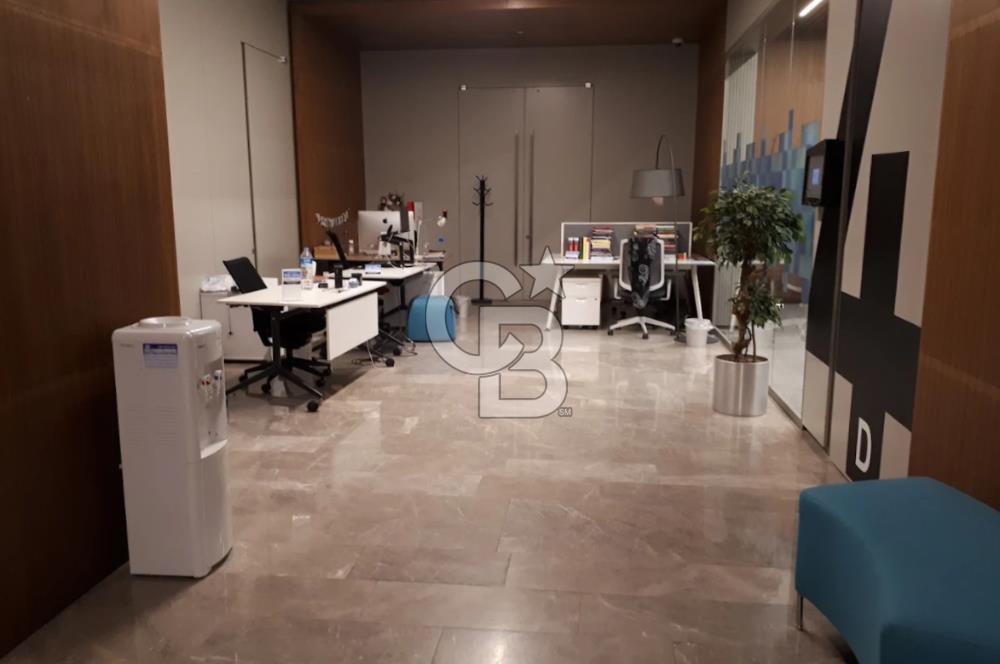 COLDWELL BANKER AVANGART'TAN LEVENT SAPPHIRE'DE HAZIR OFİSLER