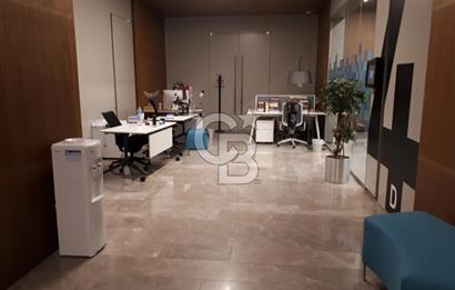 COLDWELL BANKER AVANGART'TAN LEVENT SAPPHIRE'DE HAZIR OFİSLER