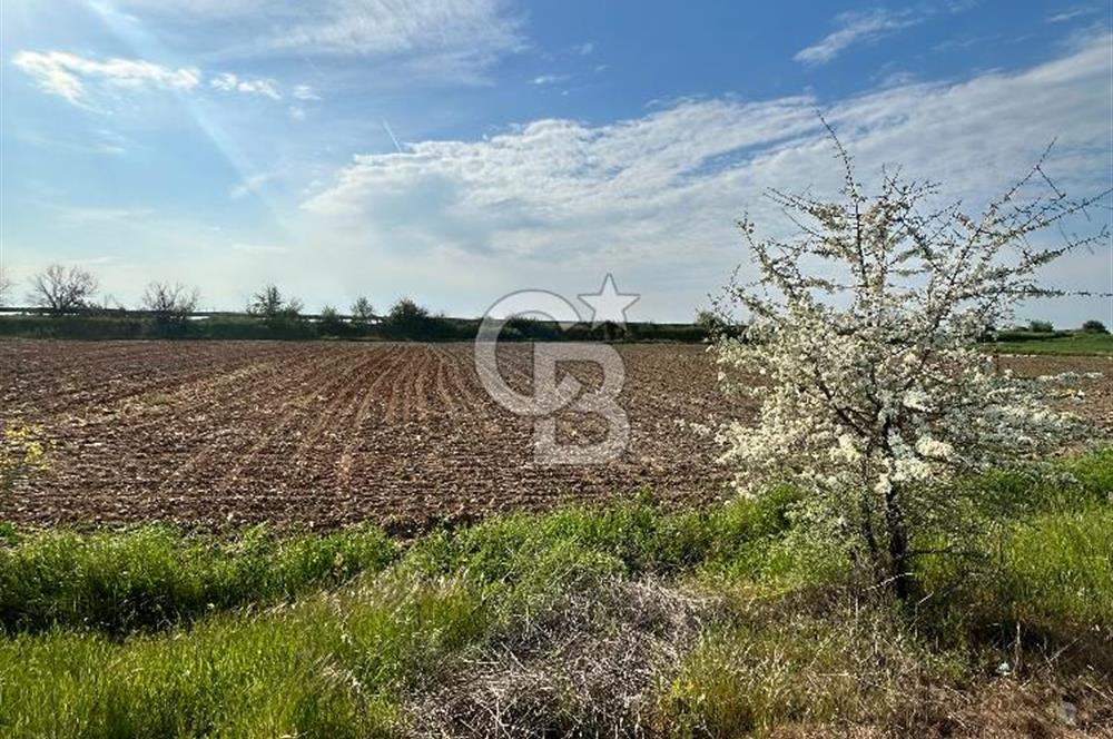 KIRKLARELİ BABAESKİ YOLU AKARYAKIT İSTASYONU İMARLI SATILIK ARSA