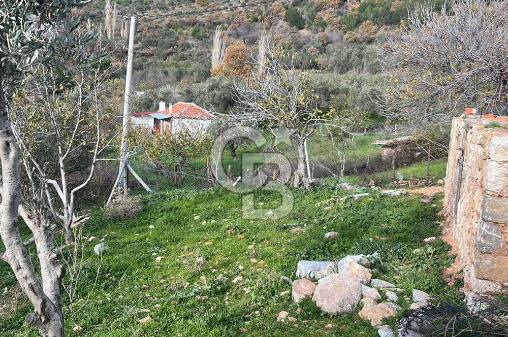 İzmir Bergama Köy Merkezinde Satılık Müstakil Ev Ve Arası