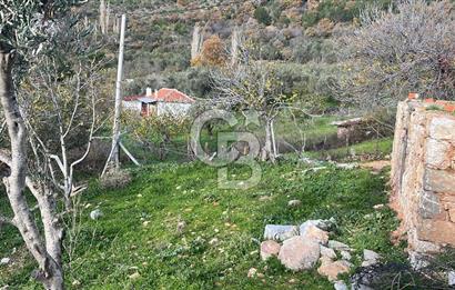 İzmir Bergama Köy Merkezinde Satılık Müstakil Ev Ve Arası