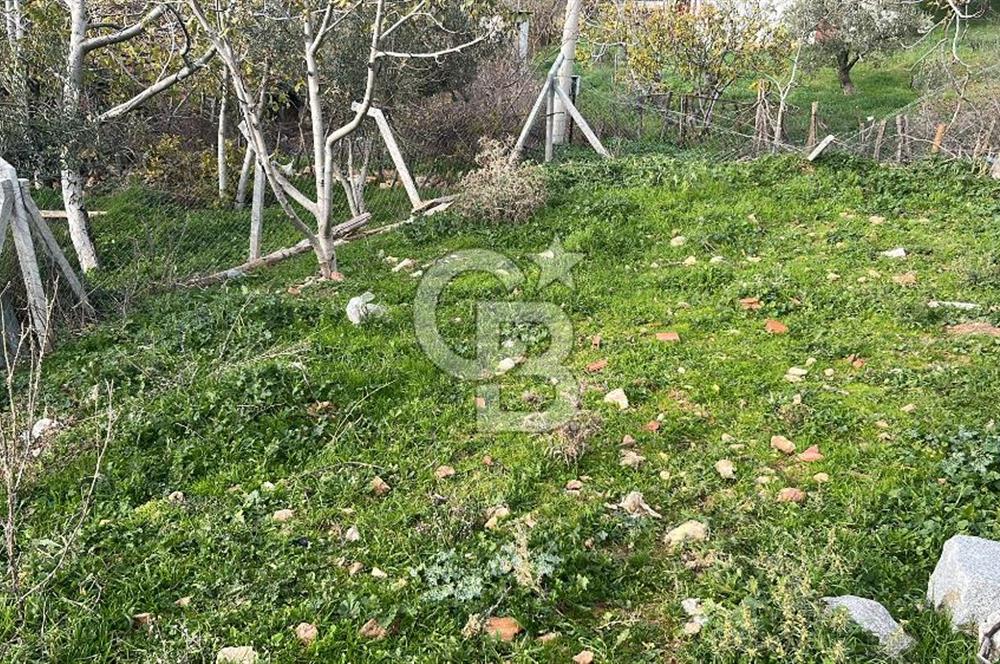İzmir Bergama Köy Merkezinde Satılık Müstakil Ev Ve Arası