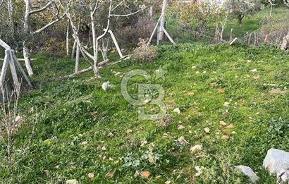 İzmir Bergama Köy Merkezinde Satılık Müstakil Ev Ve Arası