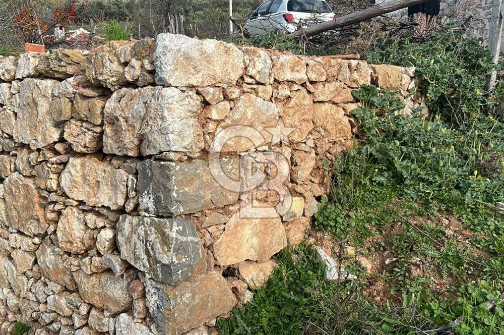 İzmir Bergama Köy Merkezinde Satılık Müstakil Ev Ve Arası