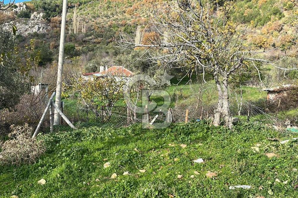 İzmir Bergama Köy Merkezinde Satılık Müstakil Ev Ve Arası