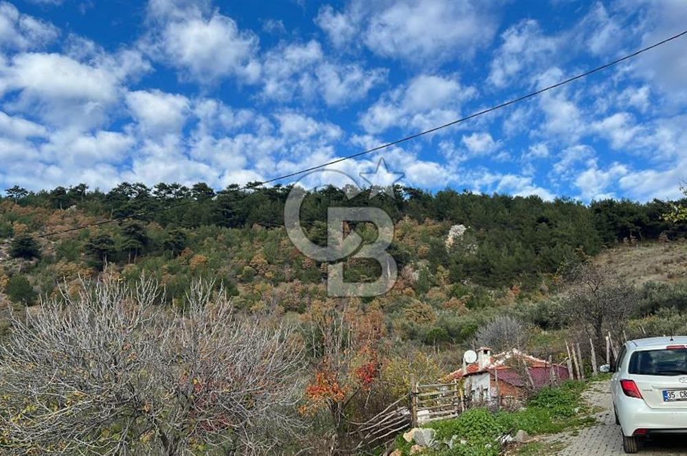 İzmir Bergama Köy Merkezinde Satılık Müstakil Ev Ve Arası
