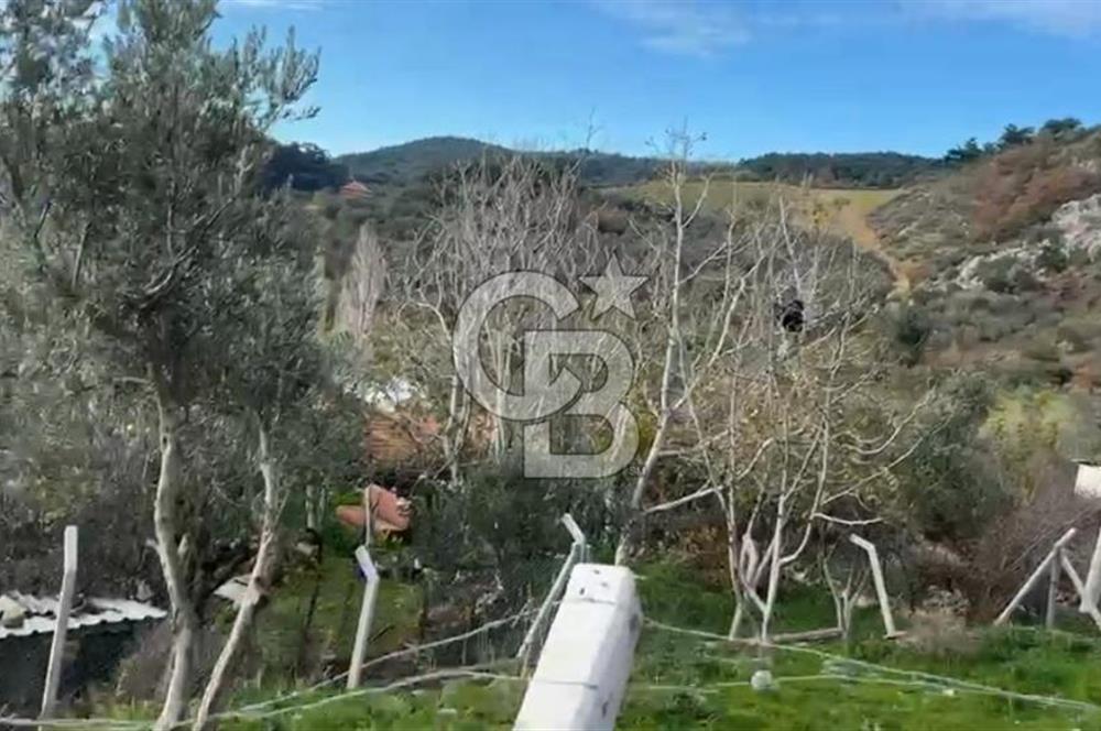 İzmir Bergama Köy Merkezinde Satılık Müstakil Ev Ve Arası