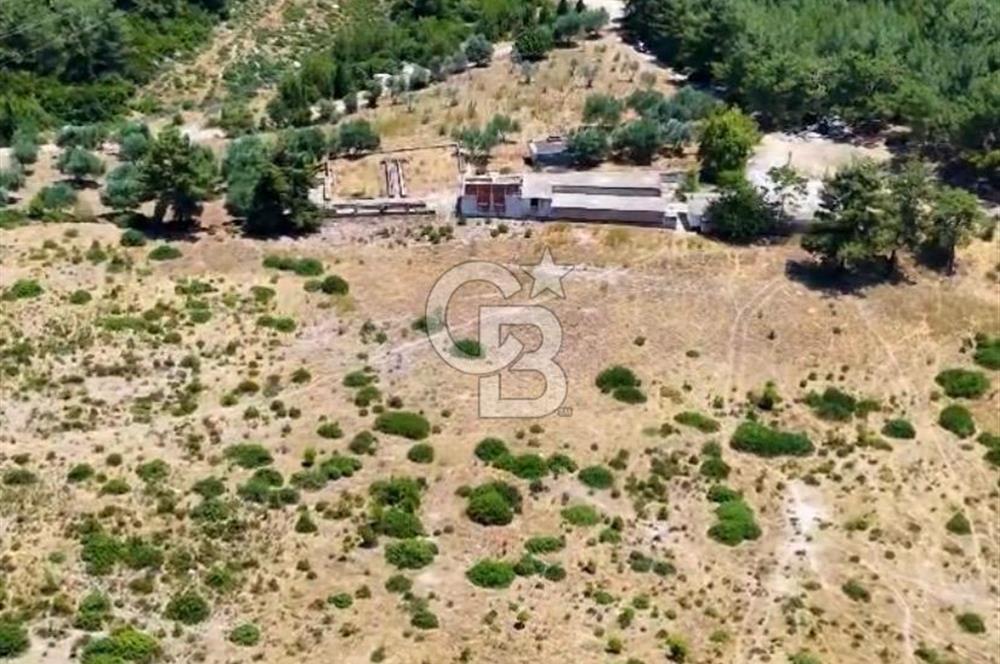 Buca Kaynaklar 1,200 m2 İmar Barışlı Satılık 10 Dönüm Tarla