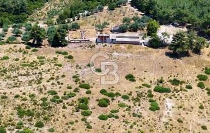 Buca Kaynaklar 1,200 m2 İmar Barışlı Satılık 10 Dönüm Tarla
