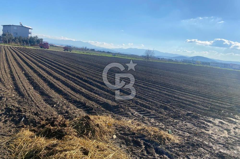 TORBALI ÇAYBAŞI mah. 3 KAT İMARLI SATILIK ARSA