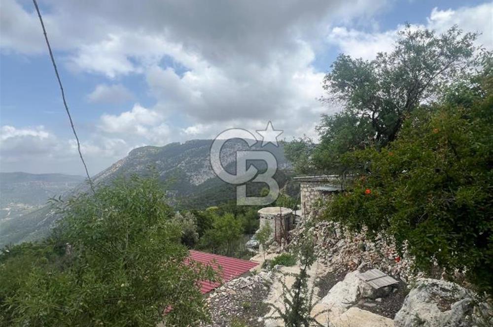 MERSİN KARAKAYA'DA DOĞAYLA İÇ İÇE MÜSTAKİL EVLİ YAYLALIK ARSA