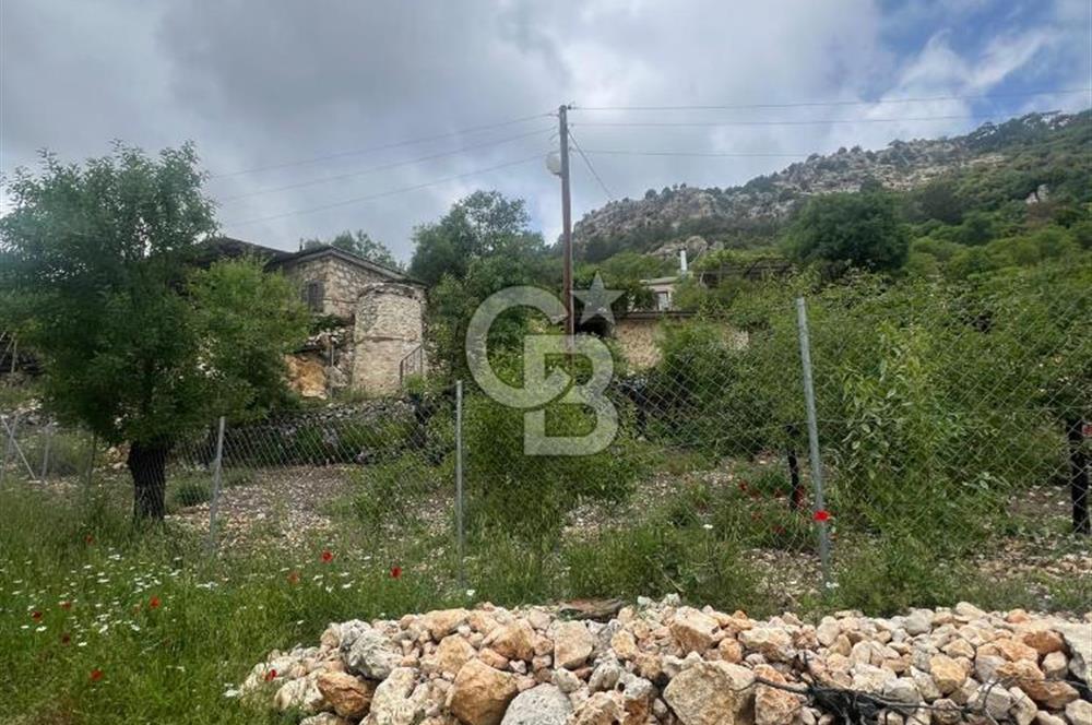 MERSİN KARAKAYA'DA DOĞAYLA İÇ İÇE MÜSTAKİL EVLİ YAYLALIK ARSA