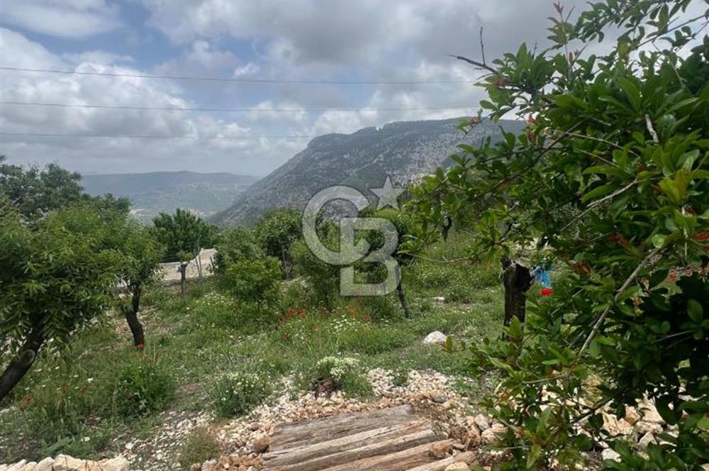 MERSİN KARAKAYA'DA DOĞAYLA İÇ İÇE MÜSTAKİL EVLİ YAYLALIK ARSA