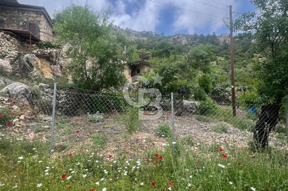 MERSİN KARAKAYA'DA DOĞAYLA İÇ İÇE MÜSTAKİL EVLİ YAYLALIK ARSA