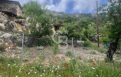 MERSİN KARAKAYA'DA DOĞAYLA İÇ İÇE MÜSTAKİL EVLİ YAYLALIK ARSA