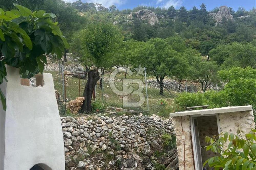 MERSİN KARAKAYA'DA DOĞAYLA İÇ İÇE MÜSTAKİL EVLİ YAYLALIK ARSA
