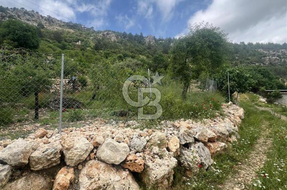 MERSİN KARAKAYA'DA DOĞAYLA İÇ İÇE MÜSTAKİL EVLİ YAYLALIK ARSA