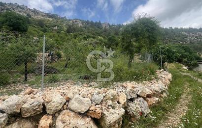 MERSİN KARAKAYA'DA DOĞAYLA İÇ İÇE MÜSTAKİL EVLİ YAYLALIK ARSA