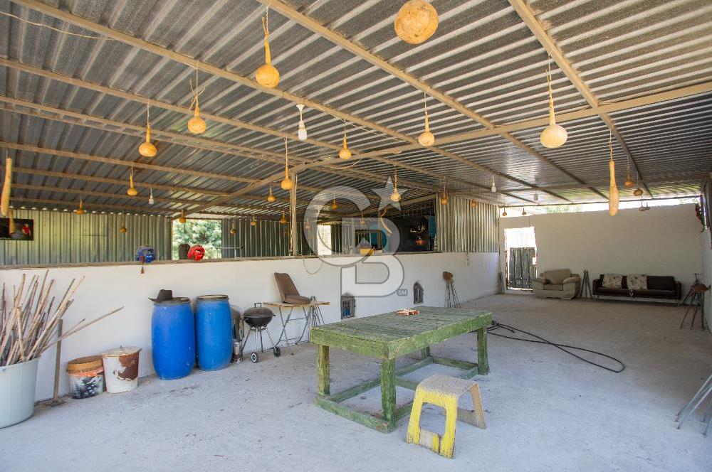 Foça Gerenköy'de Satılık 10 Dönüm Tarla ve  Müstakil Ev 