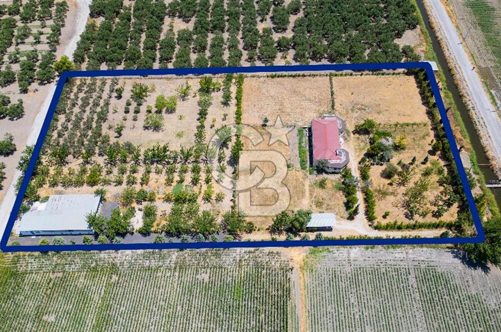 Foça Gerenköy'de Satılık 10 Dönüm Tarla ve  Müstakil Ev 