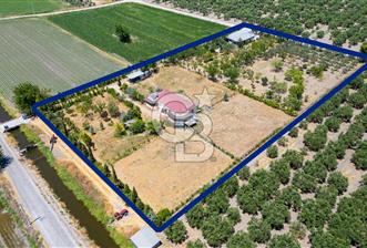Foça Gerenköy'de Satılık 10 Dönüm Tarla ve  Müstakil Ev  - 6 - 349410