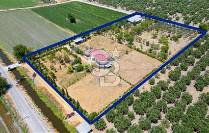 Foça Gerenköy'de Satılık 10 Dönüm Tarla ve  Müstakil Ev 