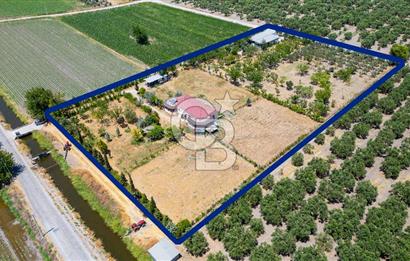 Foça Gerenköy'de Satılık 10 Dönüm Tarla ve  Müstakil Ev 