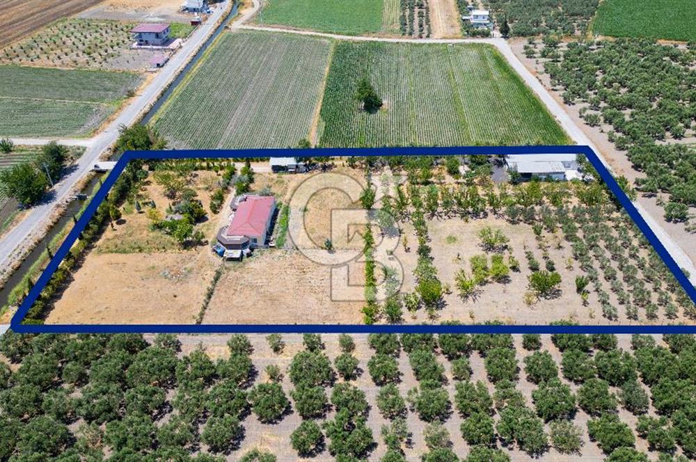 Foça Gerenköy'de Satılık 10 Dönüm Tarla ve  Müstakil Ev 