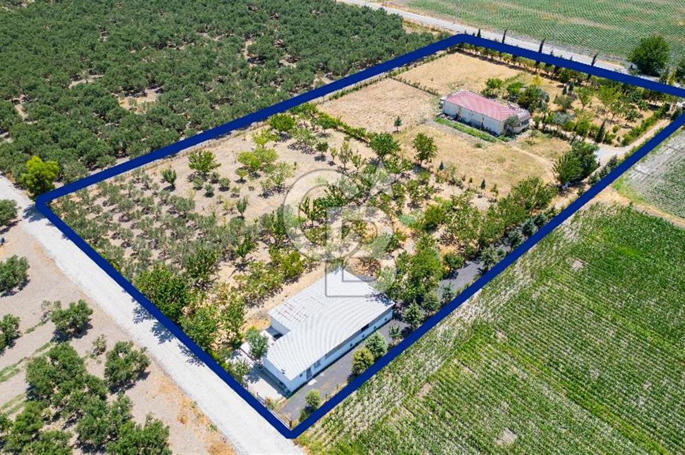 Foça Gerenköy'de Satılık 10 Dönüm Tarla ve  Müstakil Ev 
