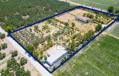Foça Gerenköy'de Satılık 10 Dönüm Tarla ve  Müstakil Ev 