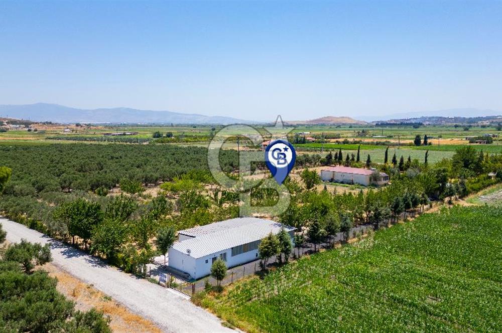 Foça Gerenköy'de Satılık 10 Dönüm Tarla ve  Müstakil Ev 