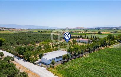 Foça Gerenköy'de Satılık 10 Dönüm Tarla ve  Müstakil Ev 