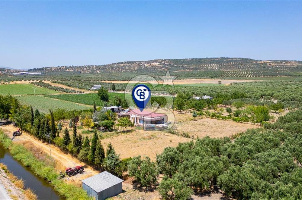 Foça Gerenköy'de Satılık 10 Dönüm Tarla ve  Müstakil Ev 