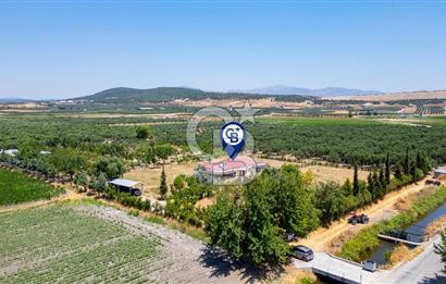 Foça Gerenköy'de Satılık 10 Dönüm Tarla ve  Müstakil Ev 