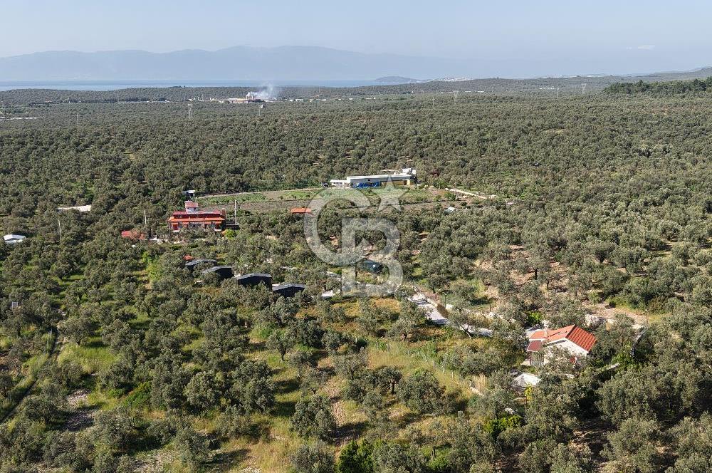 Kazdağlarında Satılık Özel Tesis