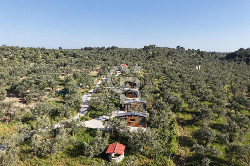Kazdağlarında Satılık Özel Tesis