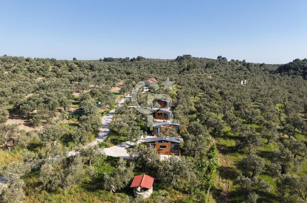 Kazdağlarında Satılık Özel Tesis