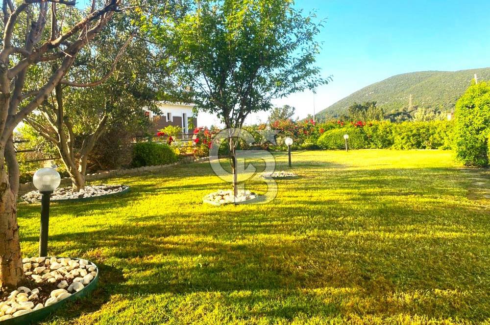 Güzelbahçe Çamlı Dört Mevsim Konakları Havuzlu 4+1 Kiralık Villa