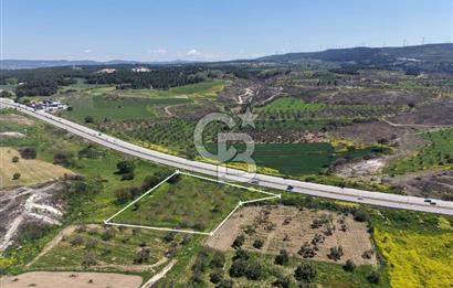 MERKEZ ÇINARLIDAÇEVRE YOLUNA CEPHE SATILIK ARAZİ
