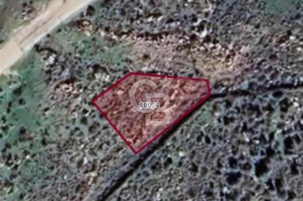 Manisa Yunusemre Yuntdağı Yenice Köyü Villa İmarlı Arsa
