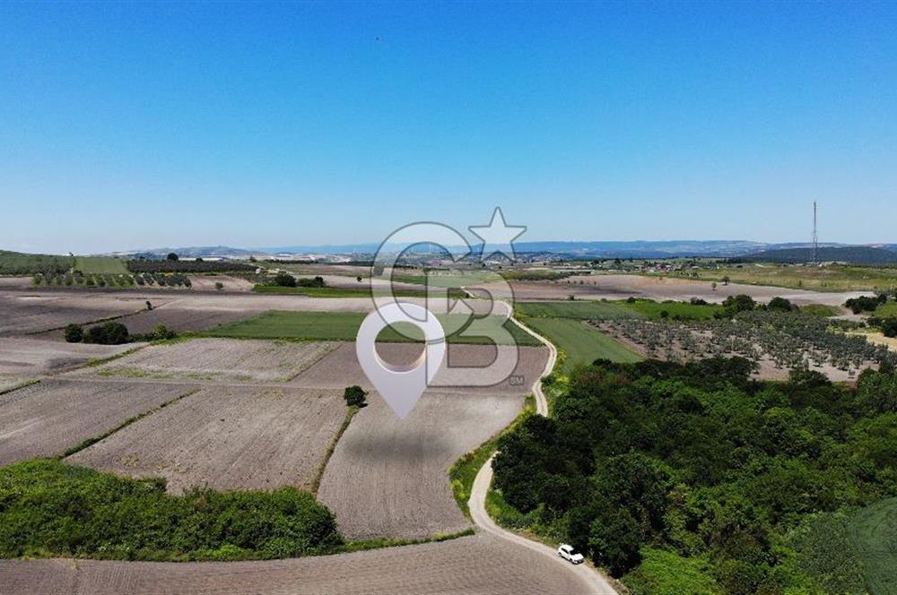 TEKNOSAB ve TOSAB'a Komşu! Badırga'da 2.875 m² Fırsat Tarla
