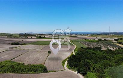 TEKNOSAB ve TOSAB'a Komşu! Badırga'da 2.875 m² Fırsat Tarla